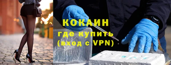 стафф Алзамай