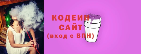 шишки Нязепетровск
