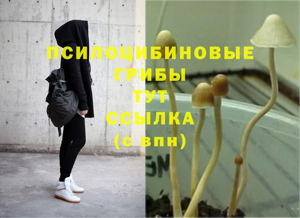 прущие крисы Алексин