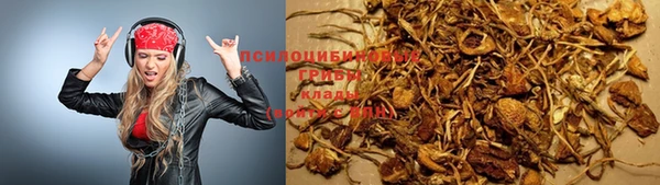 прущие крисы Алексин