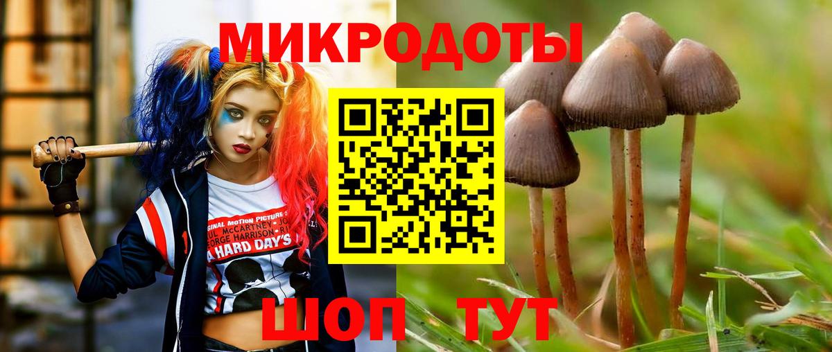 Псилоцибиновые грибы Magic Shrooms  Вход с VPN  Галлюциногенные грибы GOLDEN TEACHER  Тавда 